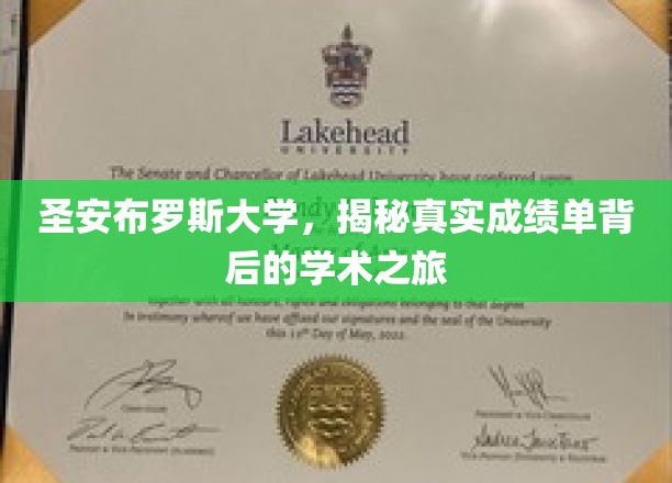 探索圣安布罗斯大学，揭开学术成就背后的真实故事