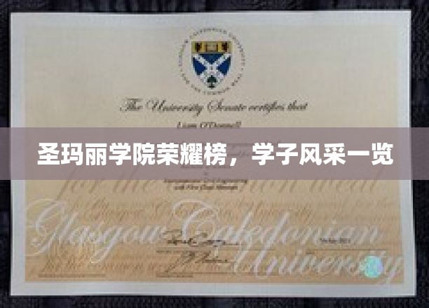 圣玛丽学院骄子荟萃，学子风采璀璨亮相