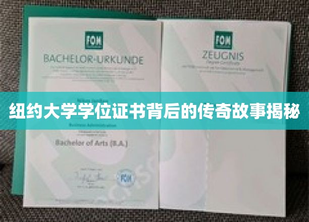 纽约大学学位证书背后的传奇故事揭秘