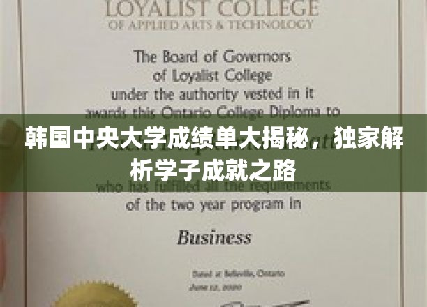 韩国中央大学学子风采展，揭秘成绩单背后的奋斗历程