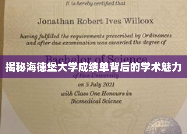 探寻海德堡大学成绩单的学术风采与奥秘