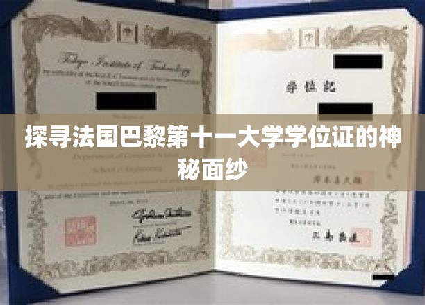 巴黎第十一大学学位证背后的神秘魅力揭秘