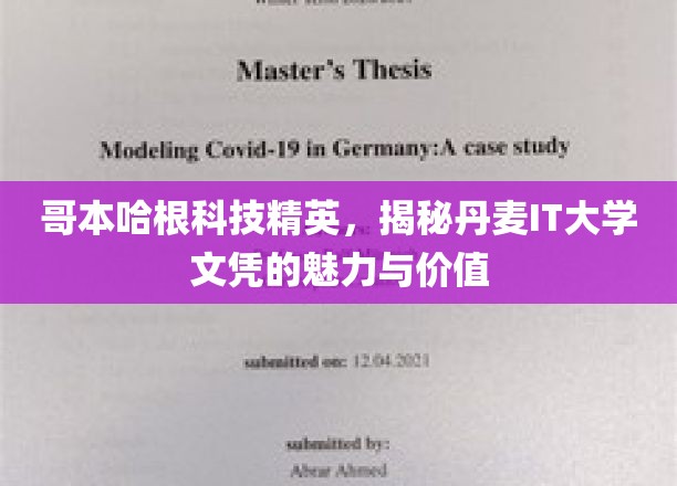 解码哥本哈根科技精英，丹麦IT大学文凭的非凡魅力与深远价值
