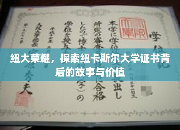 解码纽大荣耀，一纸证书背后的传奇与价值揭秘