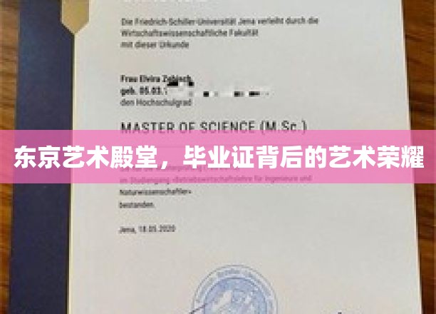 东京艺术殿堂，毕业证背后的艺术荣耀