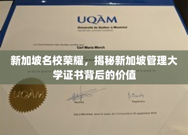 新加坡名校荣耀，揭秘新加坡管理大学证书背后的价值