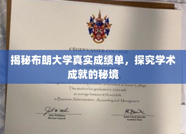 揭秘布朗大学真实成绩单，探究学术成就的秘境