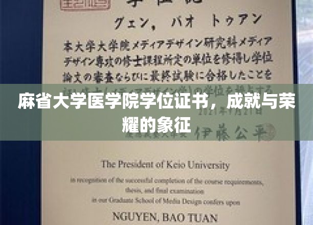 麻省大学医学院荣耀证章，学位证书背后的荣耀之路