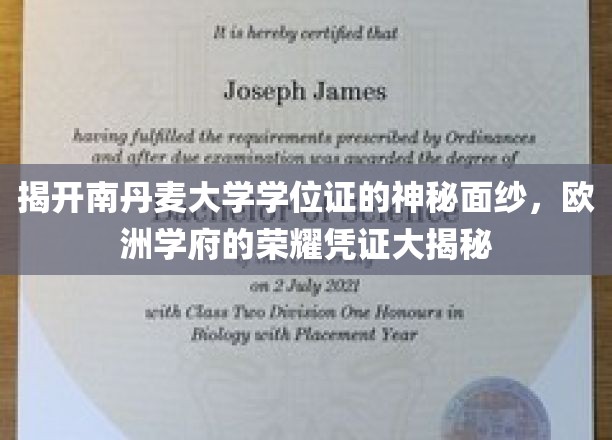 解码南丹麦大学学位证书，探索欧洲高等学府的荣耀象征