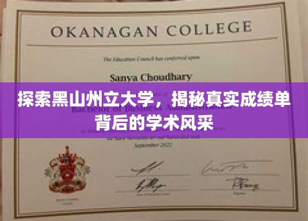 揭开黑山州立大学成绩单之谜，探寻学术荣耀背后的真实故事