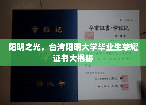 台湾阳明大学毕业生证书背后的荣耀密码大曝光