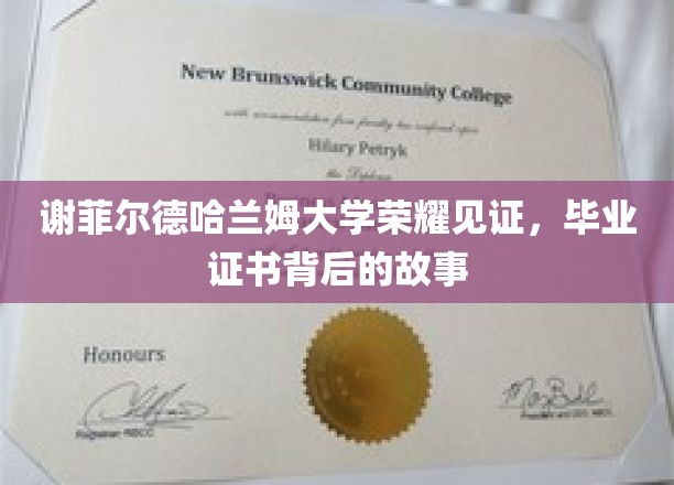 荣耀时刻，揭秘谢菲尔德哈兰姆大学毕业证书背后的传奇故事
