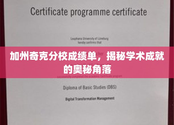 探索加州奇克分校，揭开学术成就的璀璨秘境