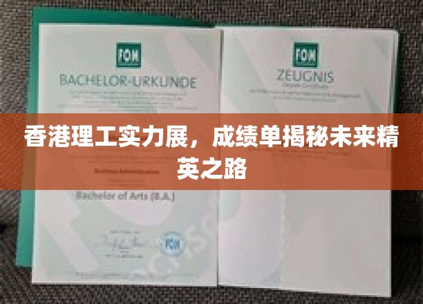 港理工卓越成就展，揭秘未来精英的成长轨迹
