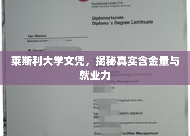 莱斯利大学文凭大揭秘，揭秘其真实价值与职场竞争力