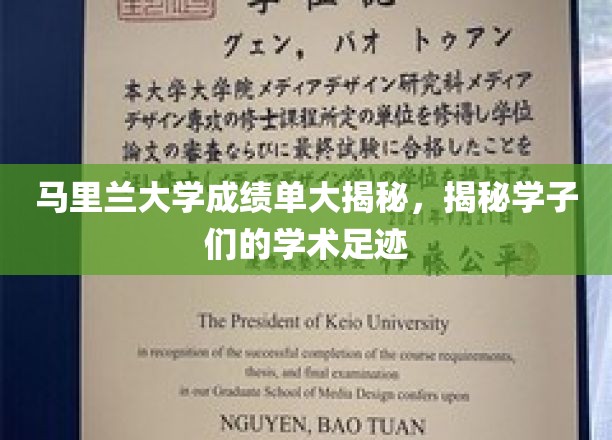 马里兰大学成绩单背后的学子学术轨迹大公开