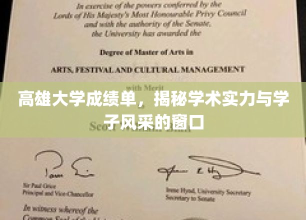 高雄大学成绩单，揭开学术实力与学子风采的神秘面纱
