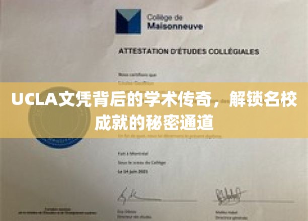 UCLA文凭背后的学术传奇，揭秘名校成就的秘密通道