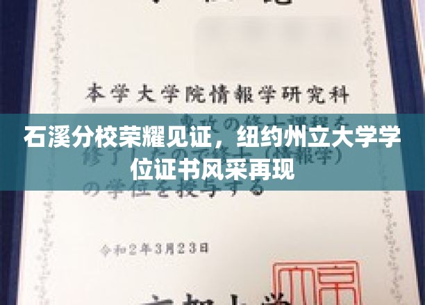 石溪分校辉煌瞬间，纽约州立大学学位证书闪耀登场