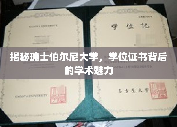 探寻瑞士伯尔尼大学，学位证书背后的学术奇迹