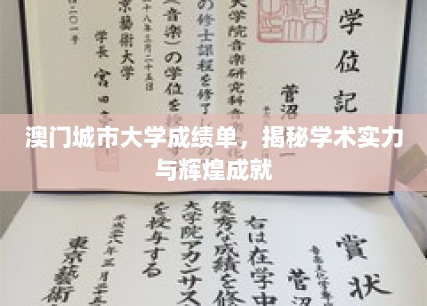 澳门城市大学成绩单，展现学术实力与辉煌成就