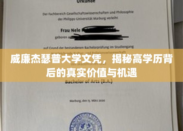 威廉与玛丽学院文凭，揭示高学历背后的真实价值与机遇