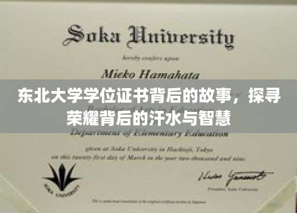 东北大学学位证书背后的故事，探寻荣耀背后的汗水与智慧