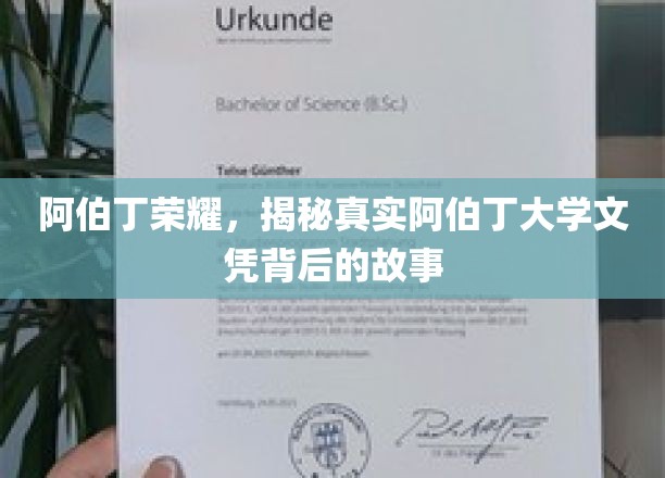 探寻阿伯丁荣耀，揭开大学文凭背后的神秘面纱