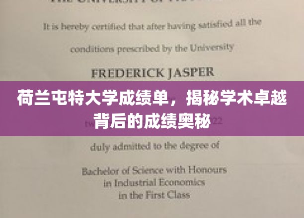 荷兰屯特大学成绩单，揭示学术卓越背后的成绩奥秘