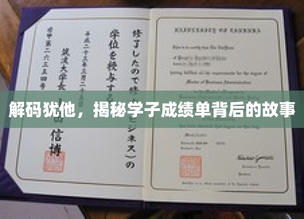 犹他之光，揭秘学霸背后的成长密码