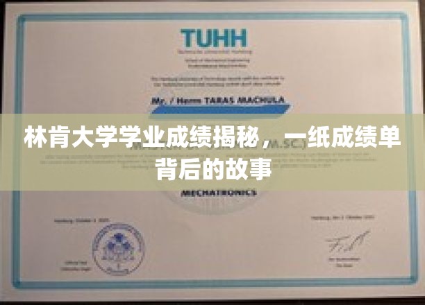 揭开林肯大学成绩单之谜，探寻学业背后的真实故事