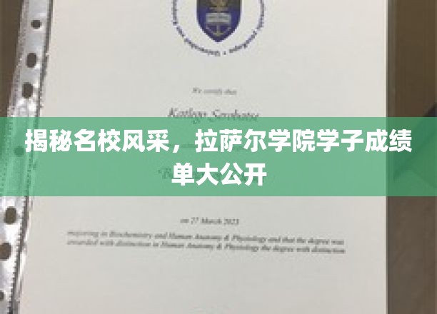 青春闪耀名校梦，拉萨尔学院学子辉煌成绩大盘点