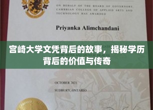 宫崎大学文凭，探寻学历背后的传奇价值与不凡历程
