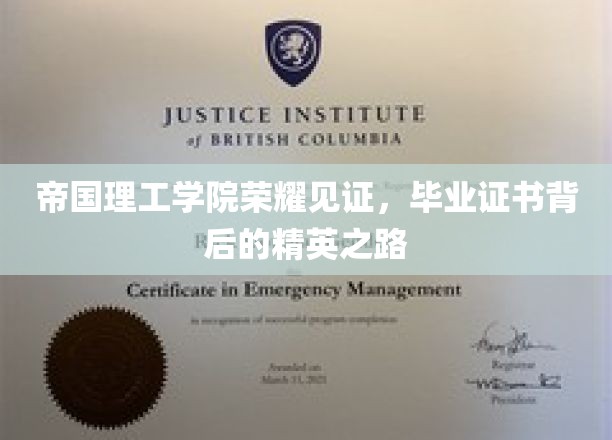 帝国荣耀绽放，揭秘毕业证书背后的精英成长轨迹