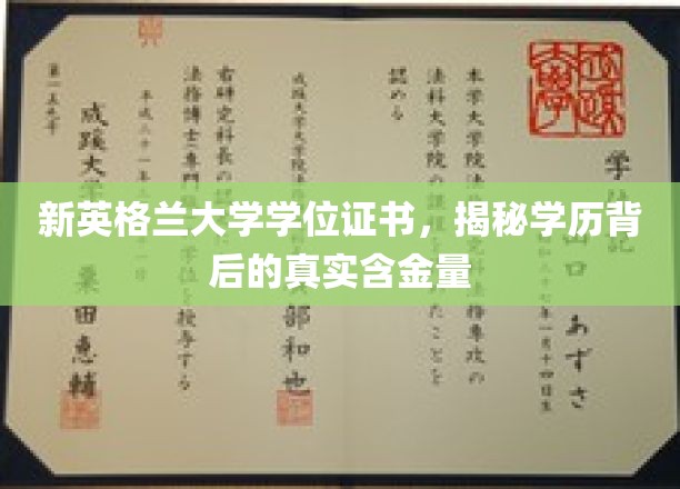 解码新英格兰大学学位，一探究竟的学历价值解析