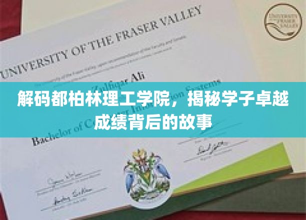 解码都柏林理工学院，揭秘学子卓越成绩背后的故事