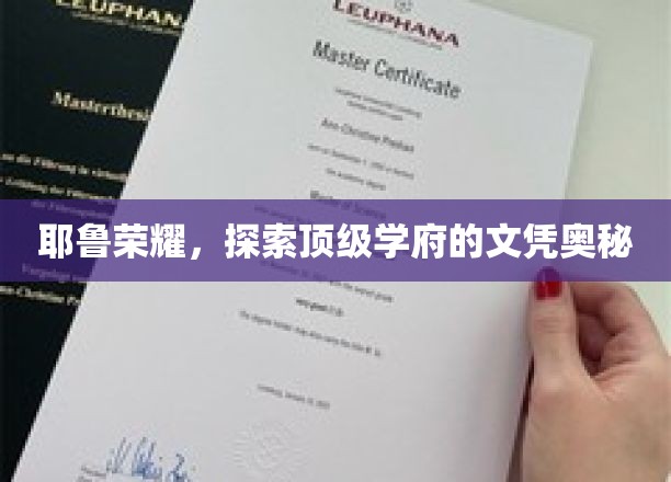 耶鲁荣耀，探索顶级学府的文凭奥秘