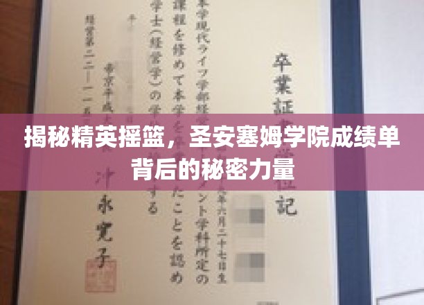 揭秘圣安塞姆学院，培养精英的秘密武器