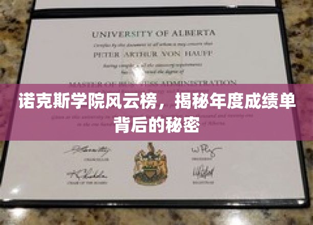 诺克斯学院风云榜，揭秘年度成绩单背后的秘密