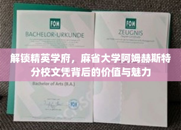 麻省大学阿姆赫斯特，探寻精英学府文凭的非凡价值与独特魅力