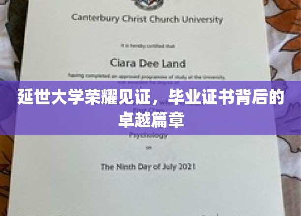 延大荣耀，毕业证书背后的辉煌故事
