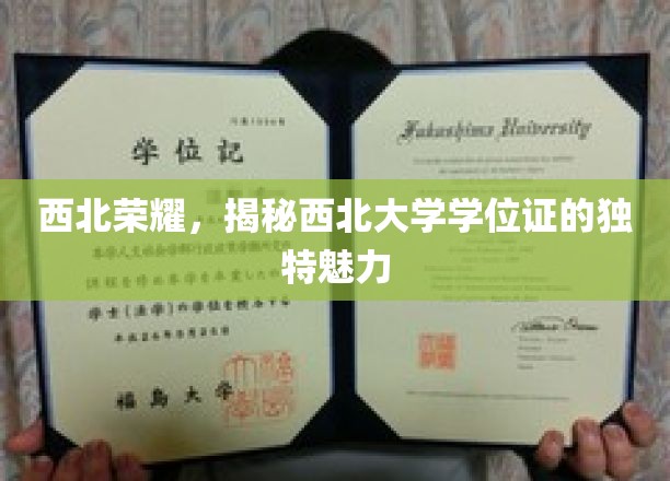 西北荣耀，揭秘西北大学学位证的独特魅力