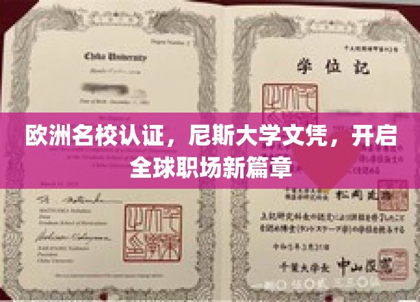 尼斯大学文凭，国际职场通行证，开启全球职业新纪元