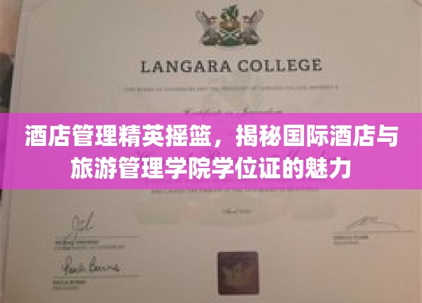 酒店管理精英摇篮，揭秘国际酒店与旅游管理学院学位证的魅力