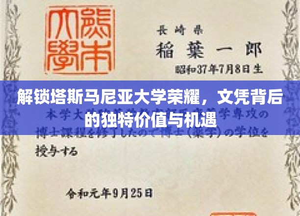 解锁塔斯马尼亚大学荣耀，文凭背后的独特价值与机遇