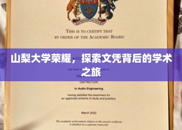 山梨大学荣耀，探寻文凭背后的学术之旅