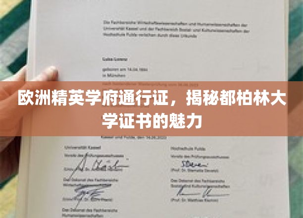 欧洲学术精英的敲门砖，探寻都柏林大学证书的非凡魅力