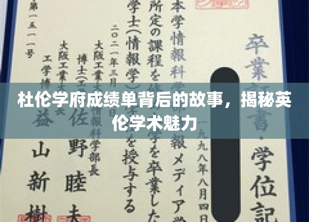 解码杜伦卓越，探寻英国学府魅力之源