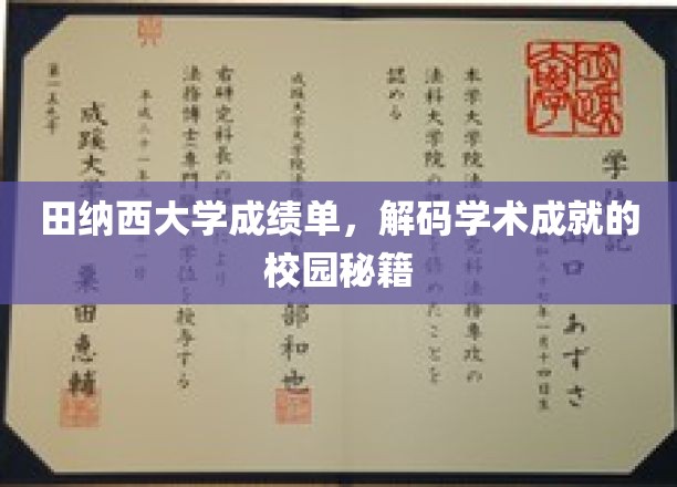 探索田纳西大学，成绩单背后的学术精英养成之道