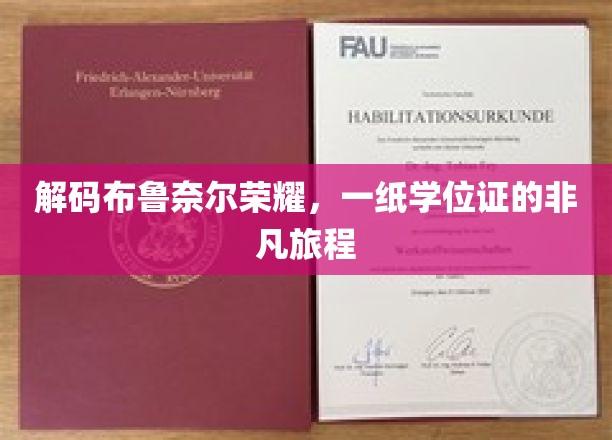 解码布鲁奈尔荣耀，一纸学位证的非凡旅程
